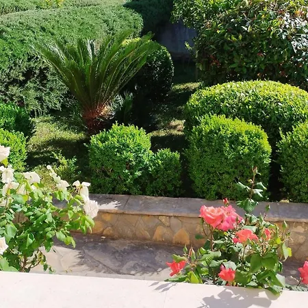 One-bedroom With Terrace And Sea View A1 Lägenhet Trogir